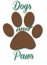 Dogs and Paws | Info about Man's Best Friend